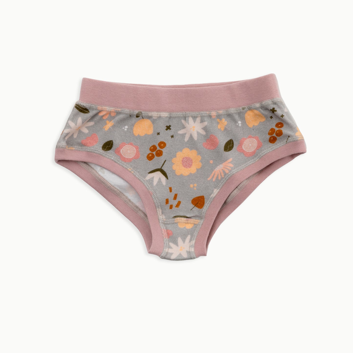 Organic Cotton Girls' Briefs Multi-pack | 5 colors