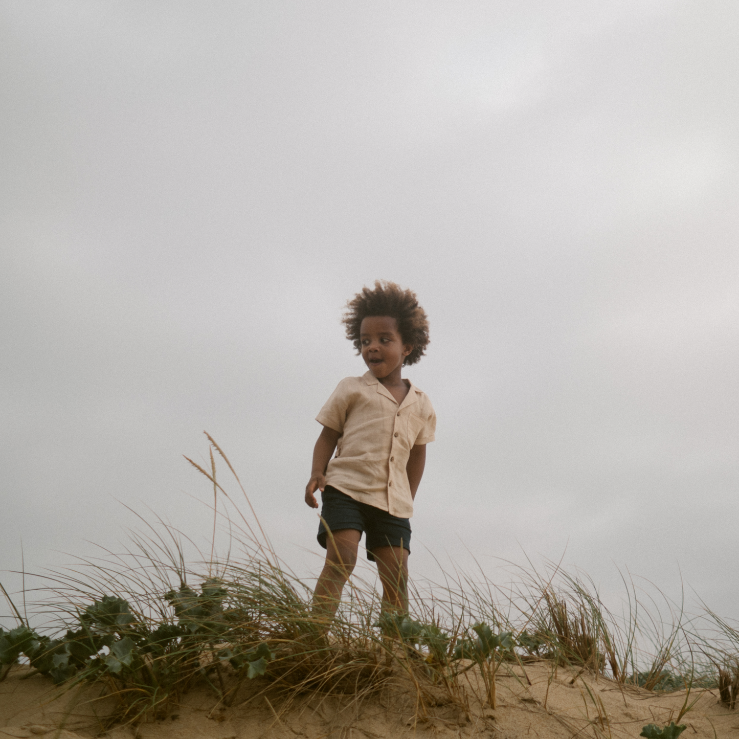Oak Short in Naval