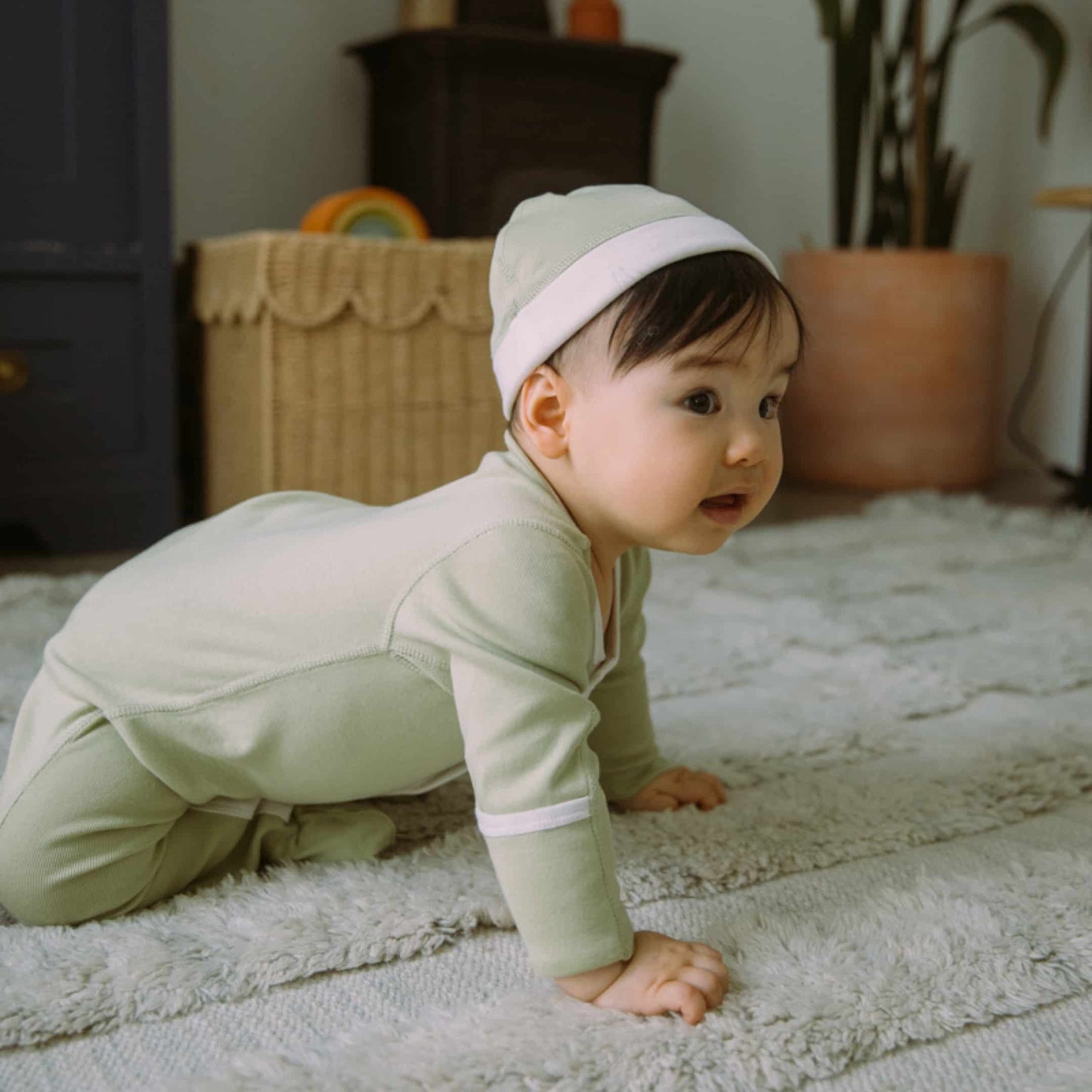 Organic Cotton Baby Sleeper, 2-Pack | Dinosaurs + Solid Green