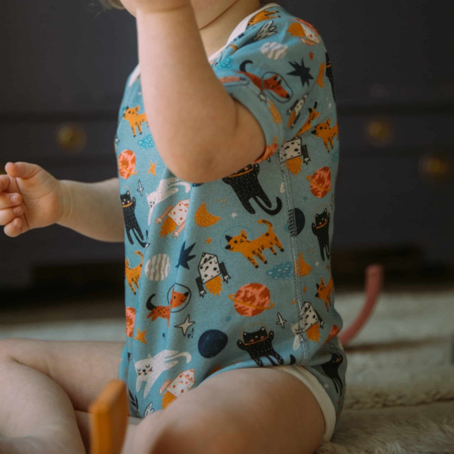 Organic Cotton Baby Short Sleeve Bodysuit, 2-Pack | Space Cats + Solid Blue
