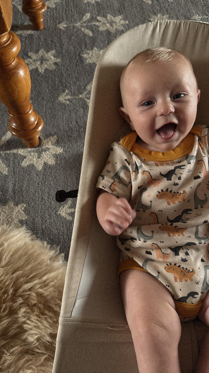 Organic Cotton Baby Short Sleeve Bodysuit, 2-Pack | Dinosaur + Solid Green