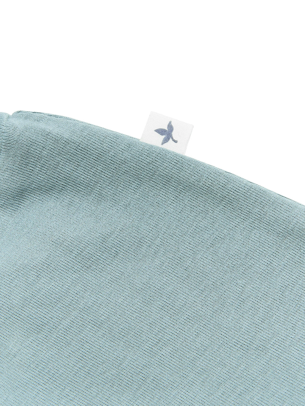 Leela Cotton Organic Cotton Pull On Short in Sea Foam