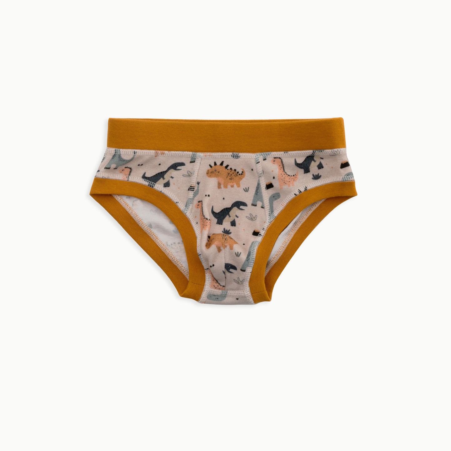 Boys' Briefs Multi-pack | 5 colors