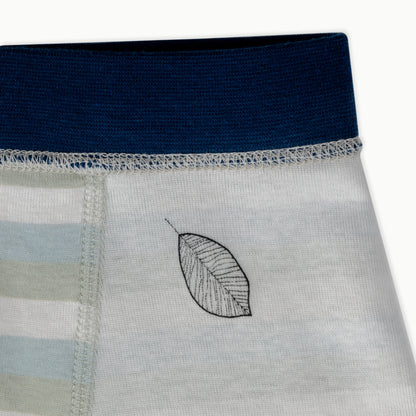 Boys' Boxer Briefs Multi-pack | 5 colors