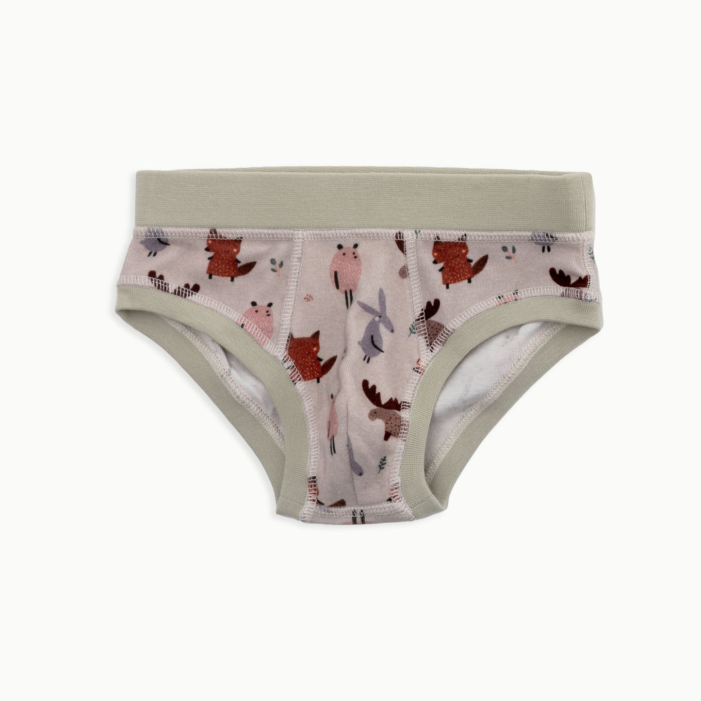 Boys' Briefs Multi-pack | 5 colors