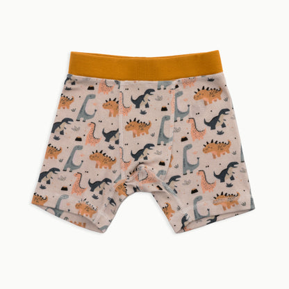 Boys' Boxer Briefs Multi-pack | 5 colors