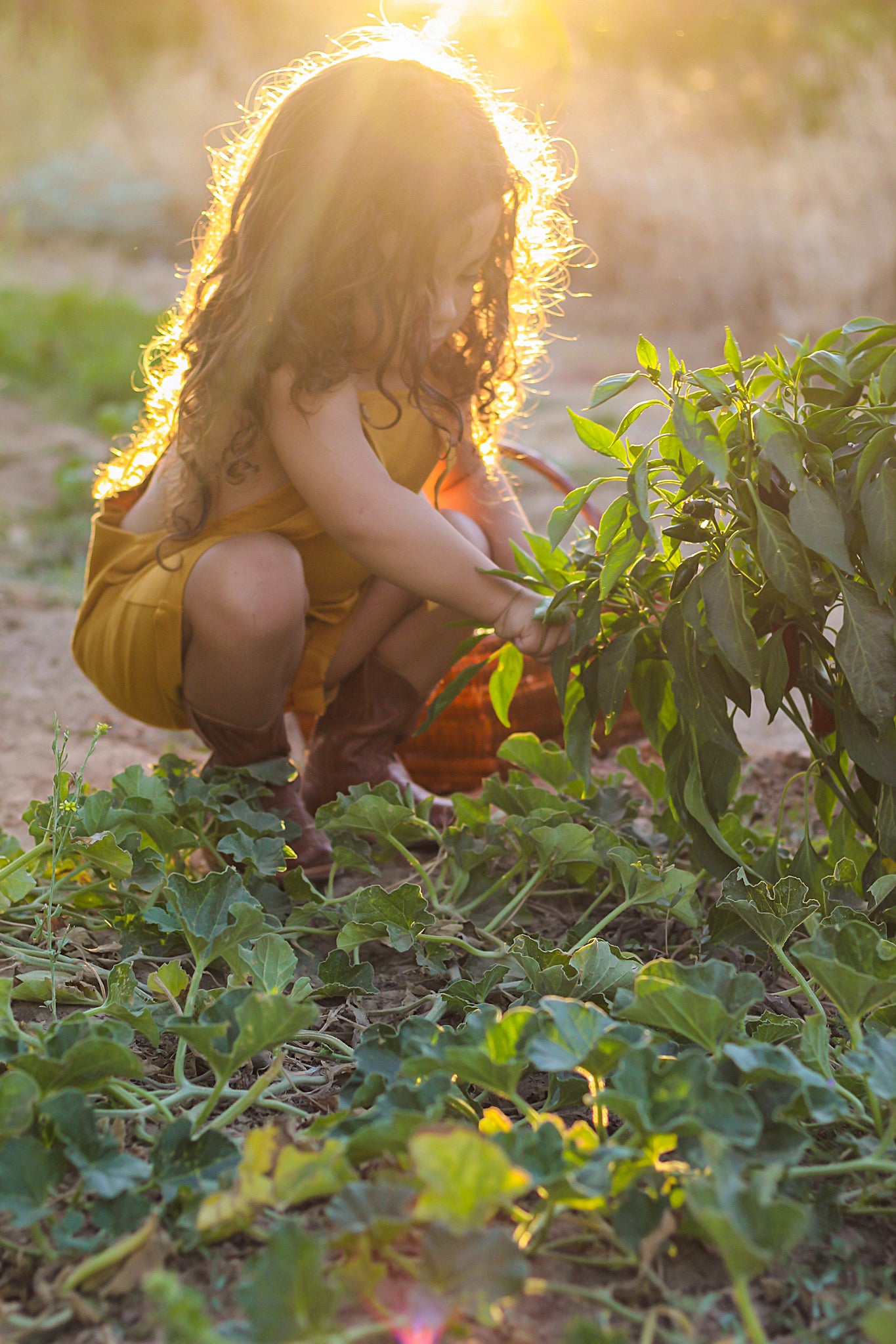 Organic Cotton Ginkgo Romper in Tassel