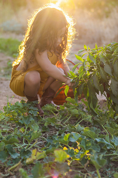 Organic Cotton Ginkgo Romper in Tassel