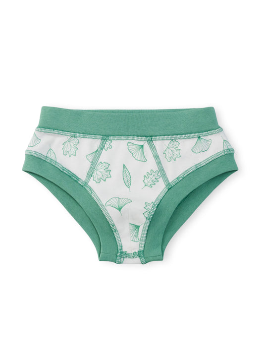 Organic Cotton Boy Briefs | Multi-pack | 5 colors | Stars & Leaves