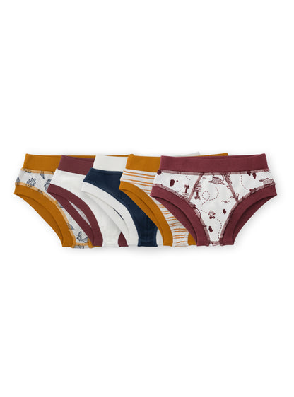 Organic Cotton Boy Briefs | Multi-pack | 5 colors | Berry Hues