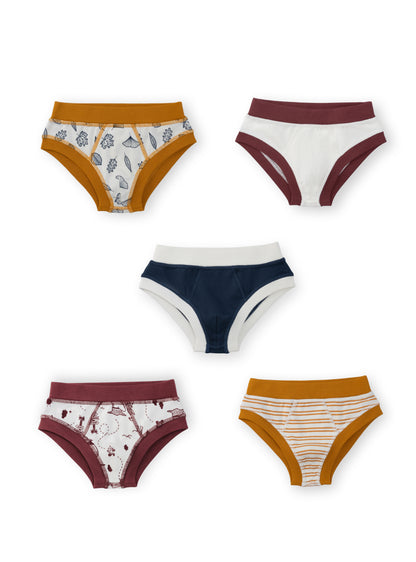 Organic Cotton Boy Briefs | Multi-pack | 5 colors | Berry Hues