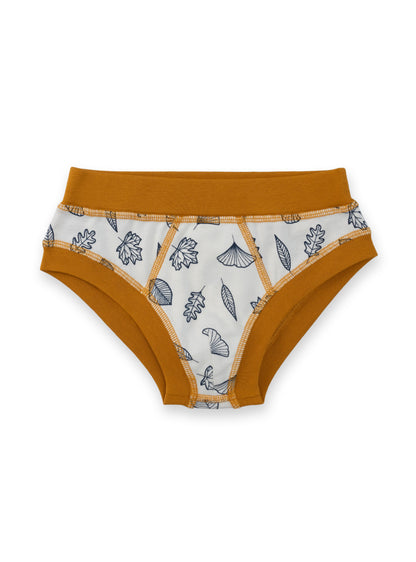 Organic Cotton Boy Briefs | Multi-pack | 5 colors | Berry Hues