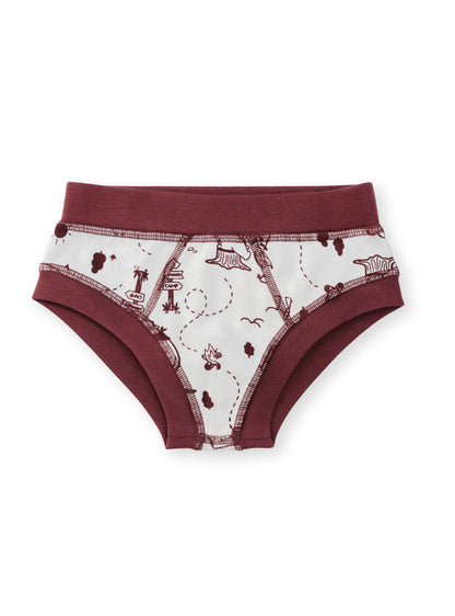 Organic Cotton Boy Briefs | Multi-pack | 5 colors | Berry Hues