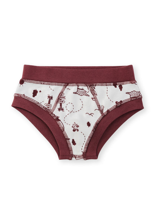 Organic Cotton Boy Briefs | Multi-pack | 5 colors | Berry Hues