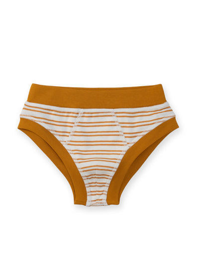 Organic Cotton Boy Briefs | Multi-pack | 5 colors | Berry Hues