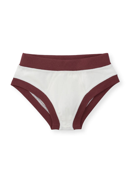 Organic Cotton Boy Briefs | Multi-pack | 5 colors | Berry Hues