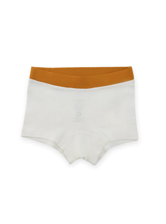 Organic Cotton 