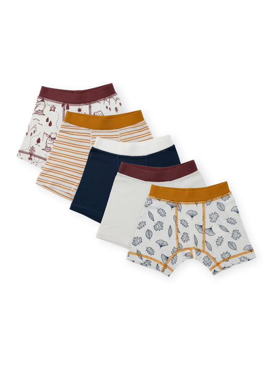 Organic Cotton Boy Boxer Briefs | Multi-pack | 5 colors | Berry & Mustard Hues