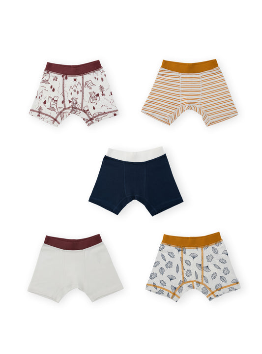 Organic Cotton Boy Boxer Briefs | Multi-pack | 5 colors | Berry & Mustard Hues