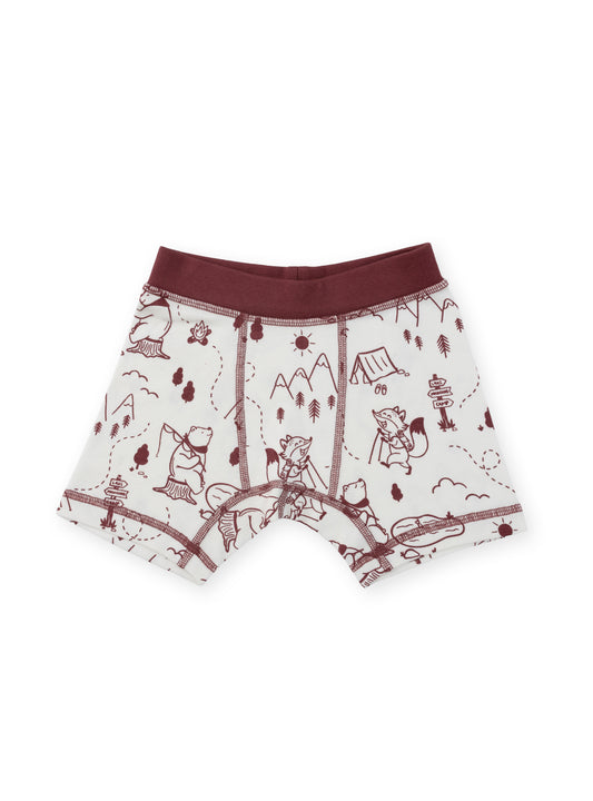 Organic Cotton Boy Boxer Briefs | Multi-pack | 5 colors | Berry & Mustard Hues