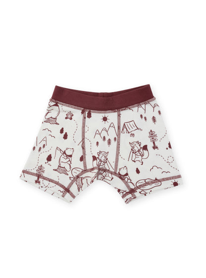 Organic Cotton Boy Boxer Briefs | Multi-pack | 5 colors | Berry & Mustard Hues