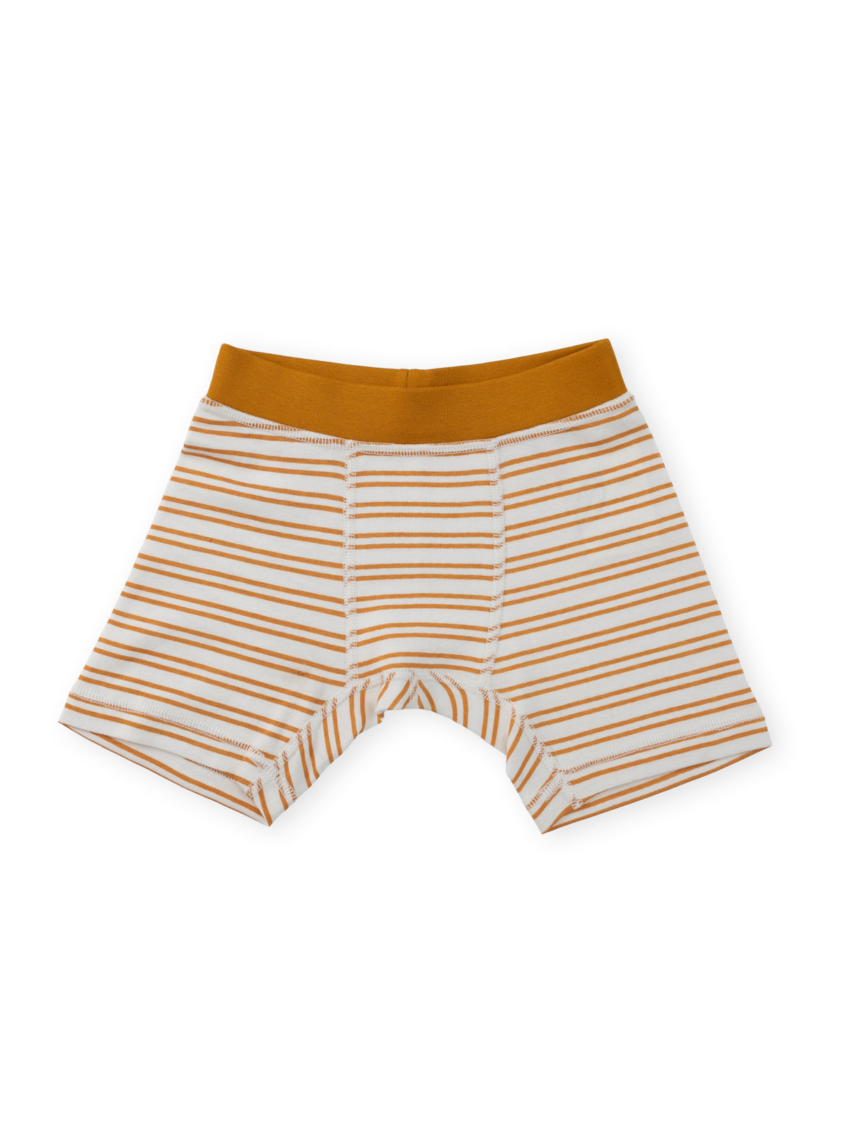 Organic Cotton Boy Boxer Briefs | Multi-pack | 5 colors | Berry & Mustard Hues