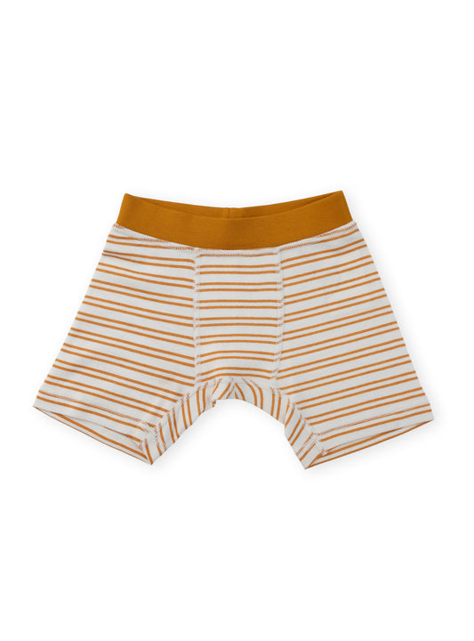 Organic Cotton Boy Boxer Briefs | Multi-pack | 5 colors | Berry & Mustard Hues
