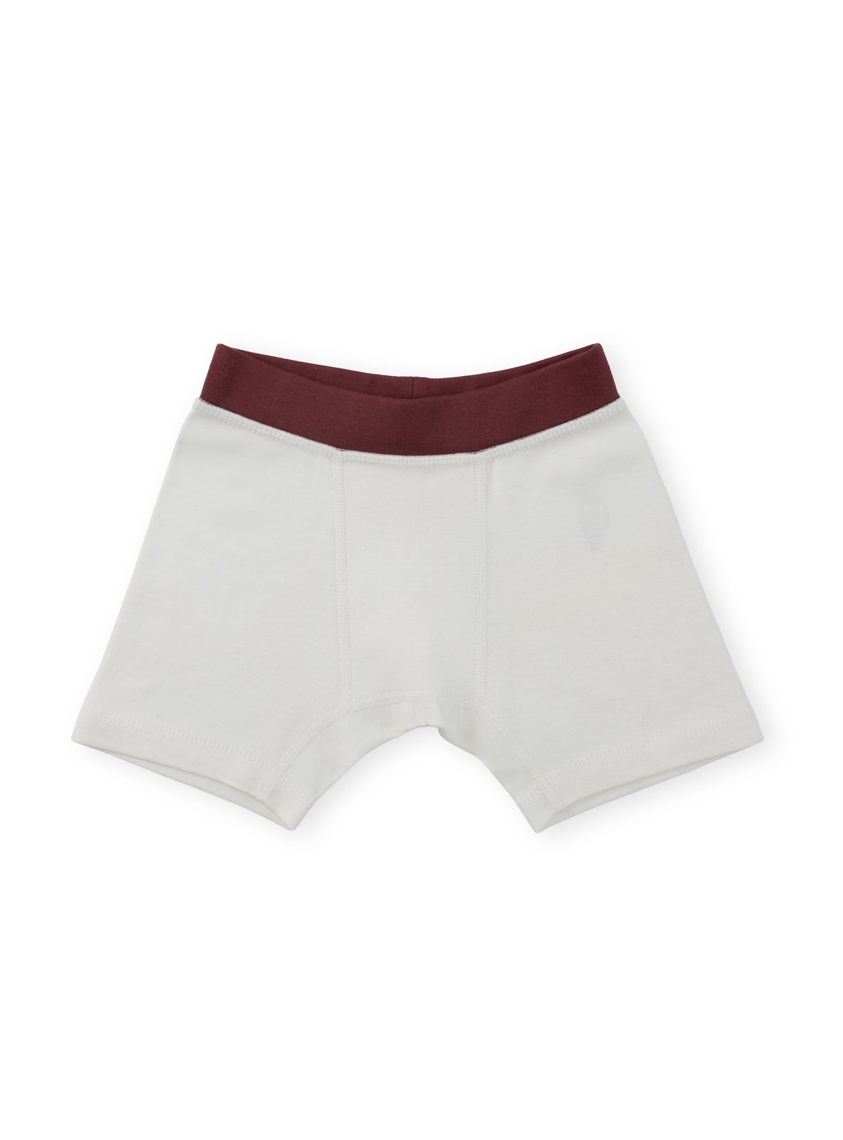 Organic Cotton Boy Boxer Briefs | Multi-pack | 5 colors | Berry & Mustard Hues