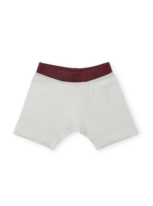 Organic Cotton Boy Boxer Briefs | Multi-pack | 5 colors | Berry & Mustard Hues