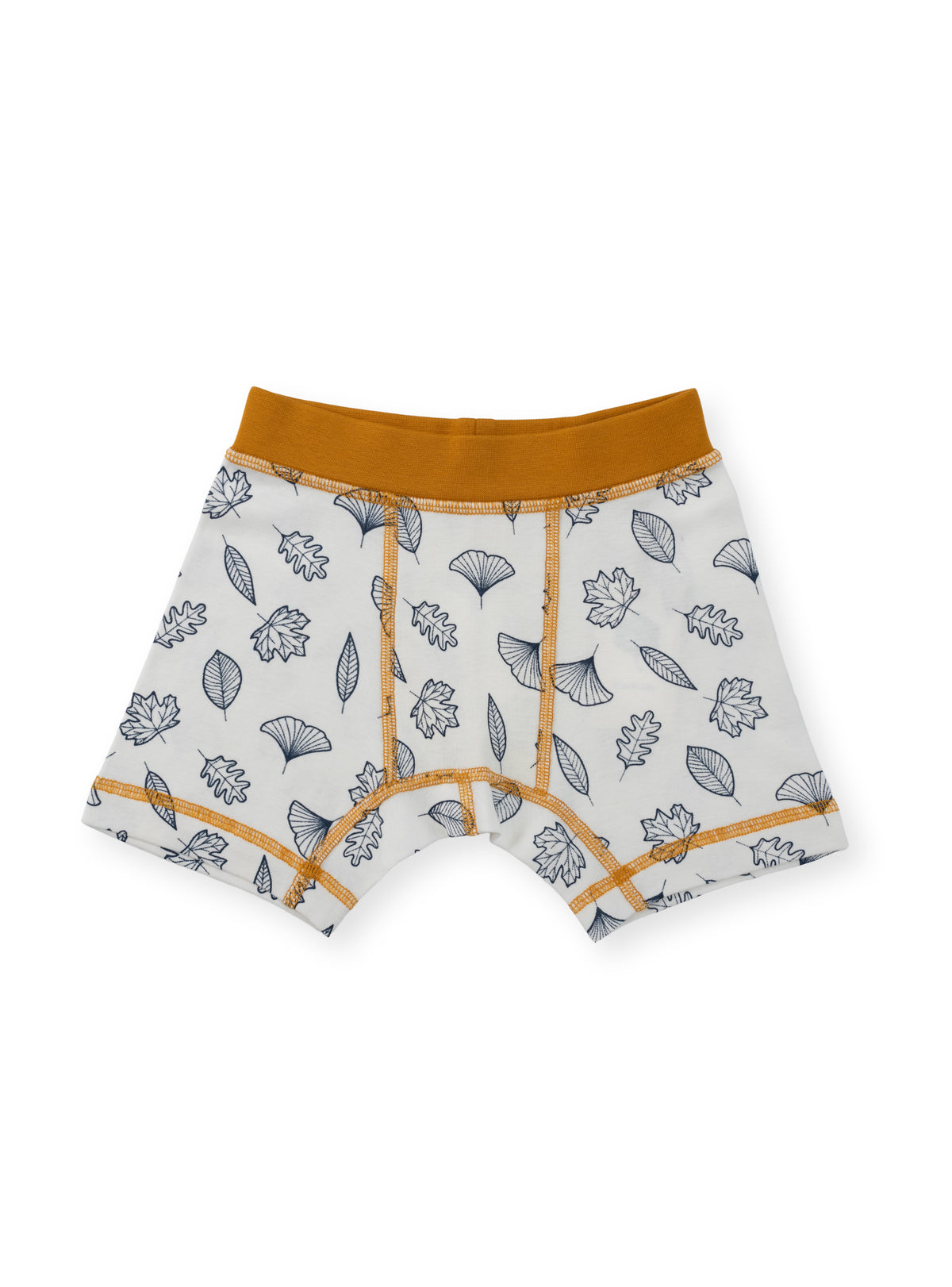 Organic Cotton Boy Boxer Briefs | Multi-pack | 5 colors | Berry & Mustard Hues