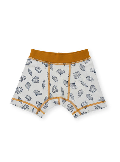 Organic Cotton Boy Boxer Briefs | Multi-pack | 5 colors | Berry & Mustard Hues