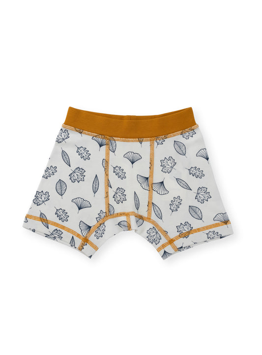 Organic Cotton Boy Boxer Briefs | Multi-pack | 5 colors | Berry & Mustard Hues