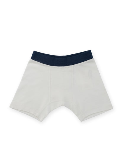Organic Cotton Boy Boxer Briefs | Multi-pack | 5 colors | Stars & Leaves