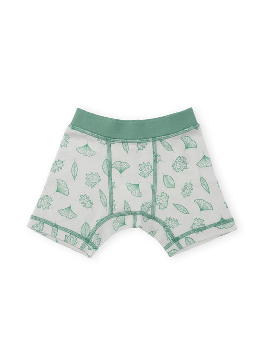 Organic Cotton Boy Boxer Briefs | Multi-pack | 5 colors | Stars & Leaves