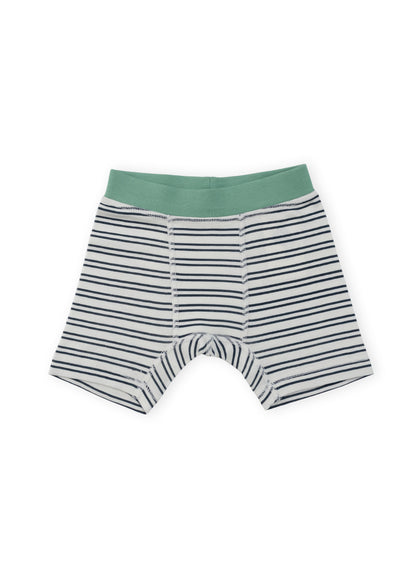 Organic Cotton Boy Boxer Briefs | Multi-pack | 5 colors | Stars & Leaves