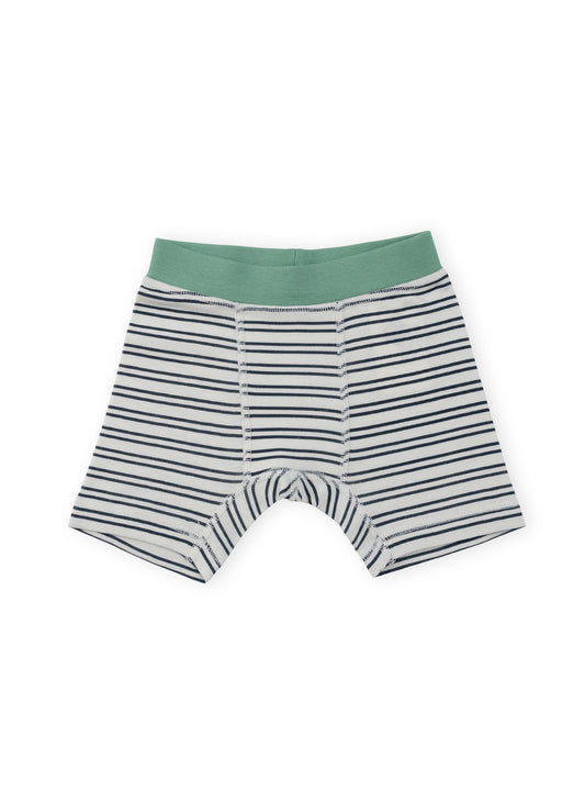 Organic Cotton Boy Boxer Briefs | Multi-pack | 5 colors | Stars & Leaves