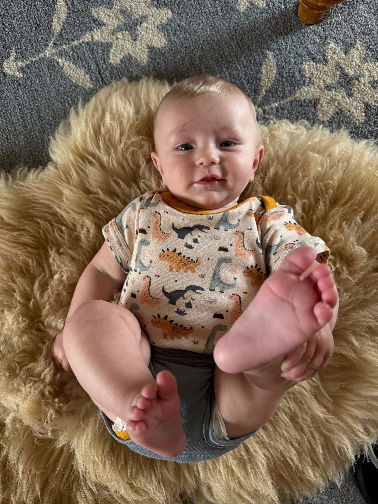 Organic Cotton Baby Short Sleeve Bodysuit, 2-Pack | Dinosaur + Solid Green