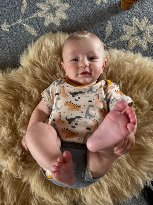 Organic Cotton Baby Short Sleeve Bodysuit, 2-Pack | Dinosaur + Solid Green