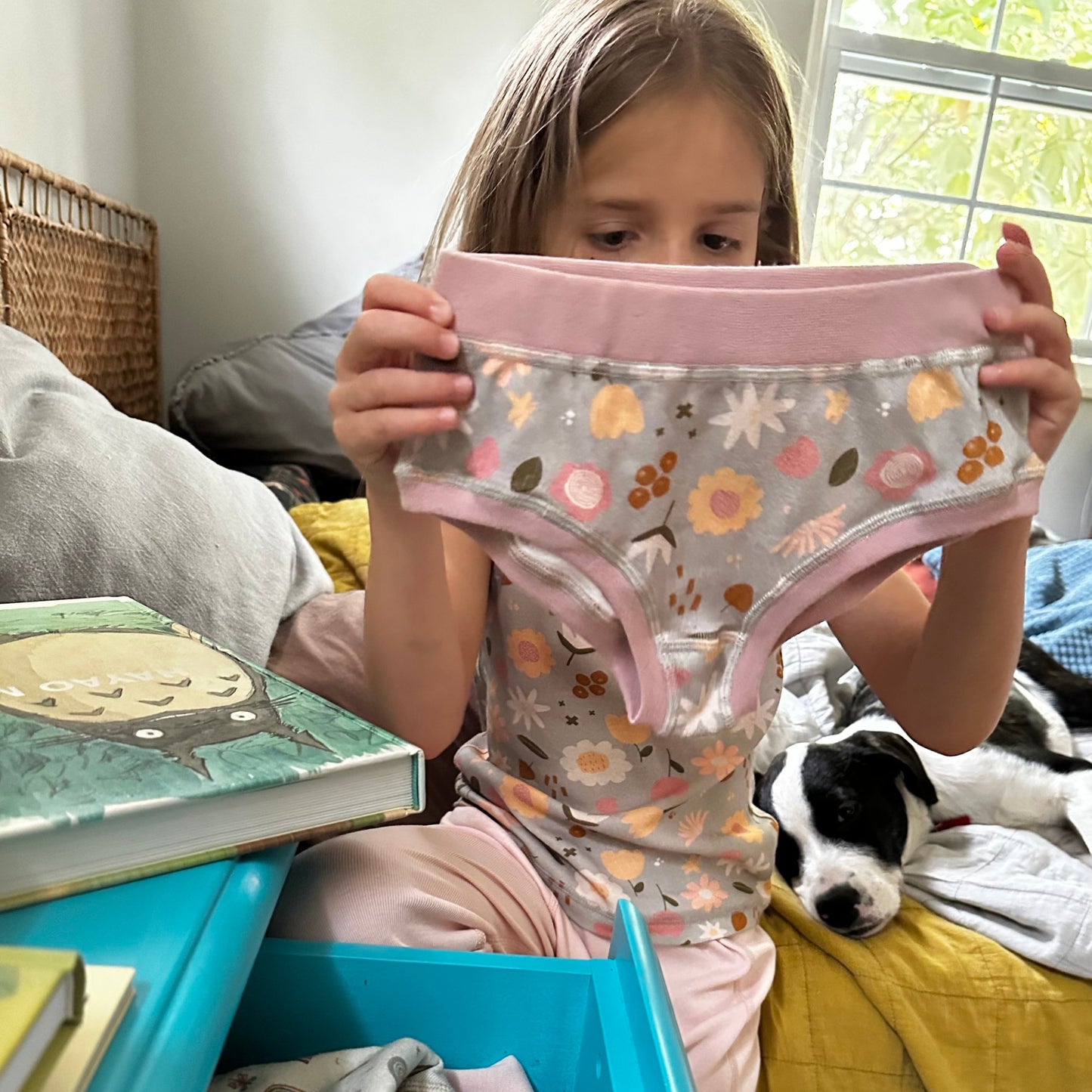 Organic Cotton Girls' Briefs Multi-pack | 5 colors
