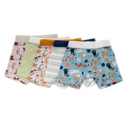 Organic Cotton Boys' Boxer Briefs Multi-pack | 5 colors