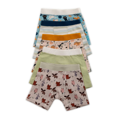 Organic Cotton Boys' Boxer Briefs Multi-pack | 5 colors