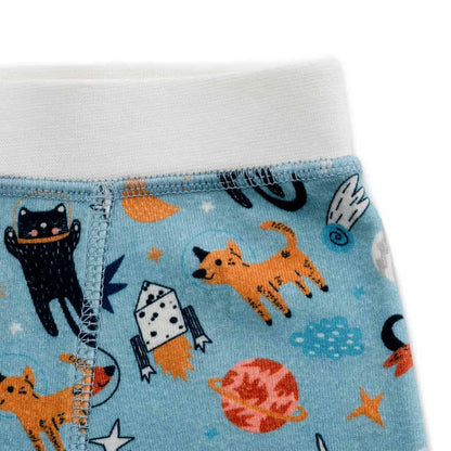 Organic Cotton Boys' Boxer Briefs Multi-pack | 5 colors
