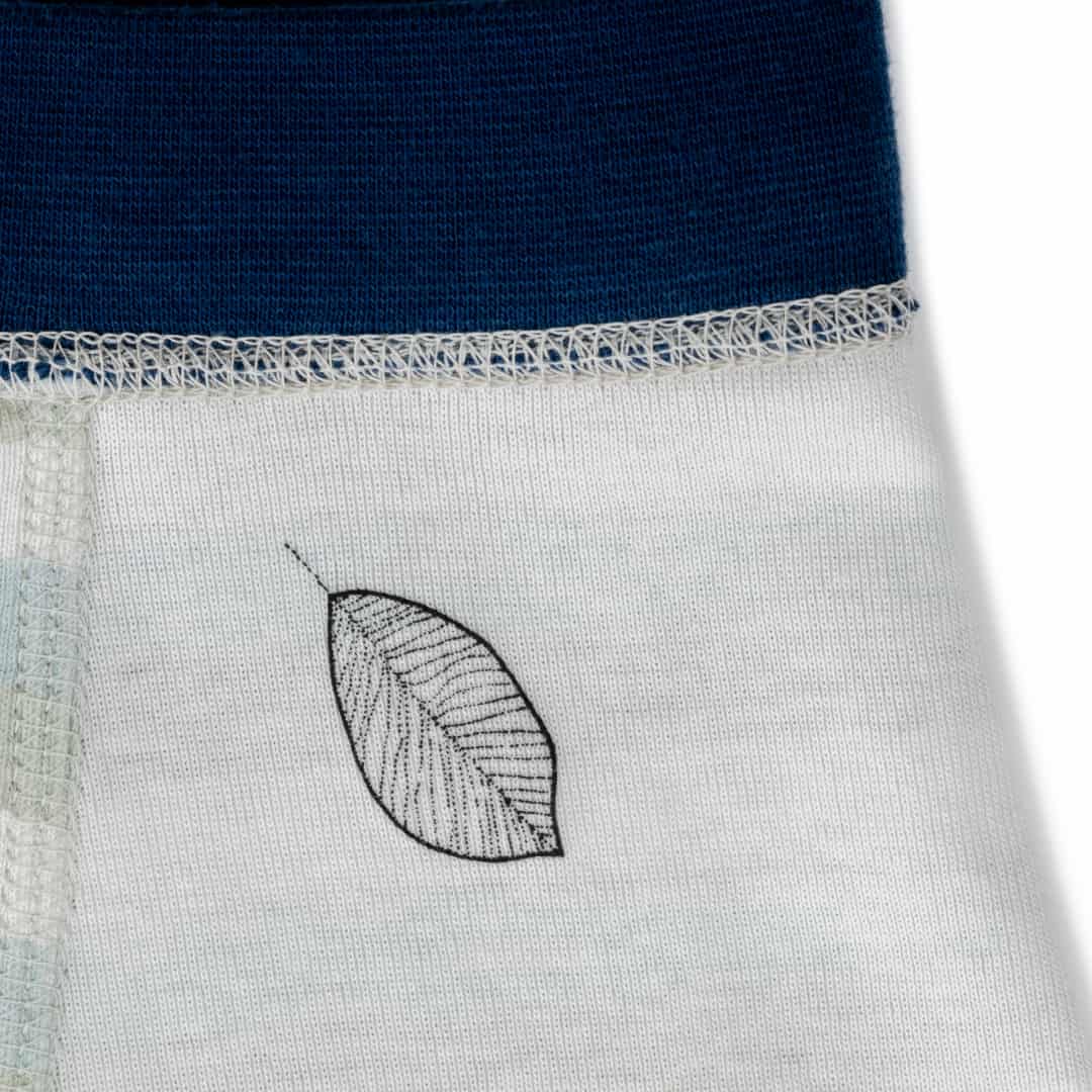 Organic Cotton Boys' Boxer Briefs Multi-pack | 5 colors