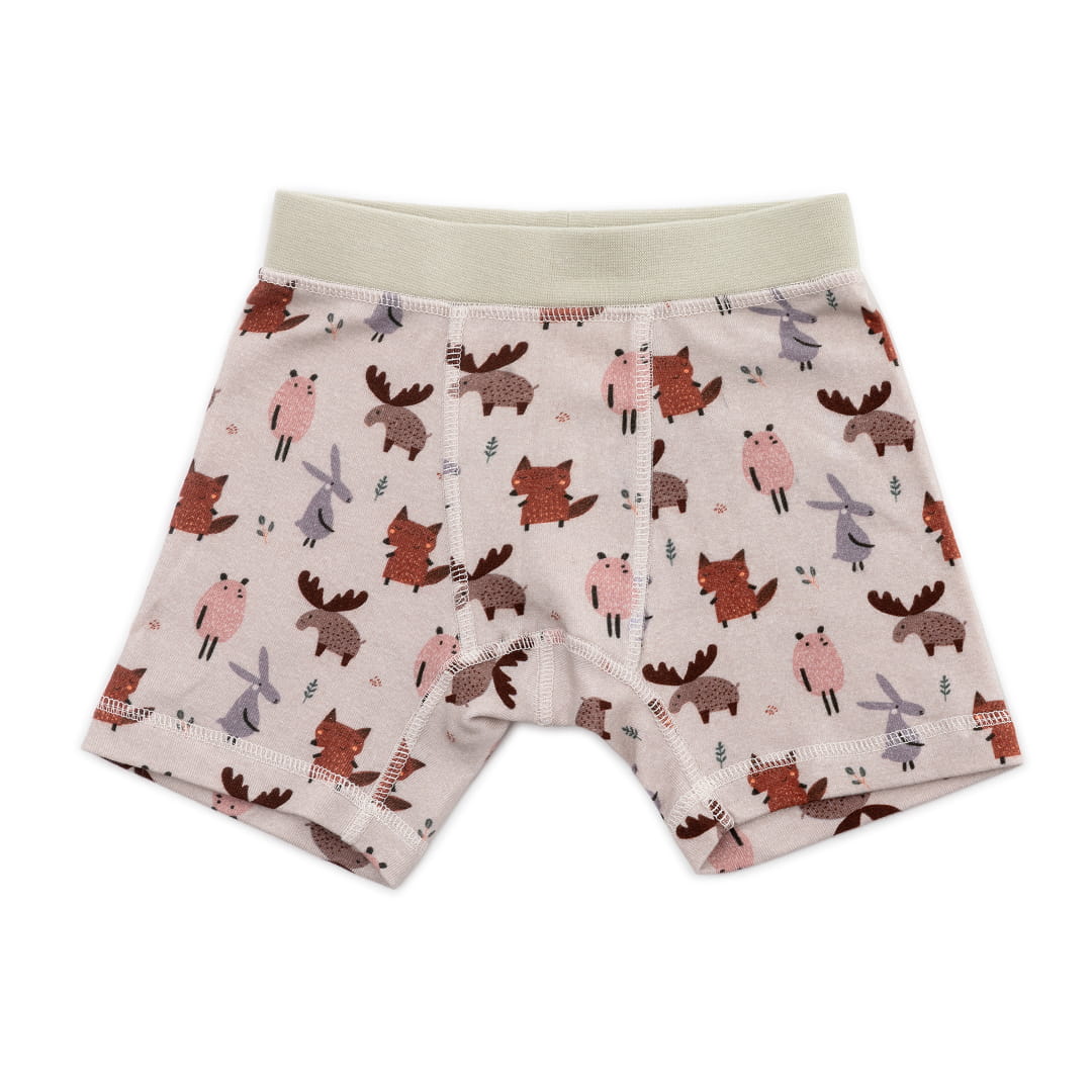 Organic Cotton Boys' Boxer Briefs Multi-pack | 5 colors