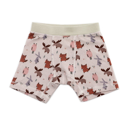 Organic Cotton Boys' Boxer Briefs Multi-pack | 5 colors