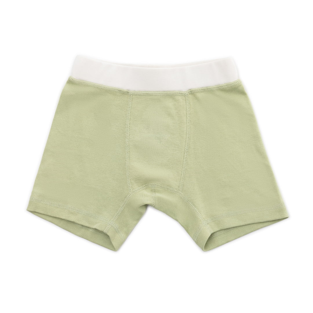 Organic Cotton Boys' Boxer Briefs Multi-pack | 5 colors