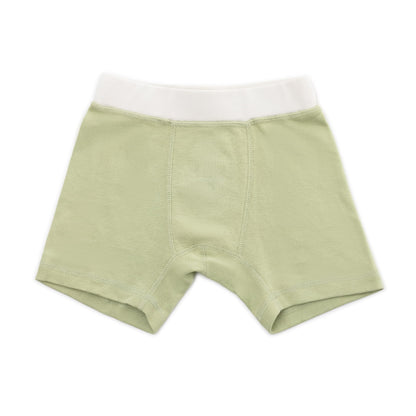 Organic Cotton Boys' Boxer Briefs Multi-pack | 5 colors