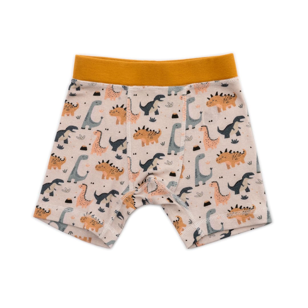 Organic Cotton Boys' Boxer Briefs Multi-pack | 5 colors