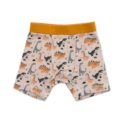 Organic Cotton Boys' Boxer Briefs Multi-pack | 5 colors