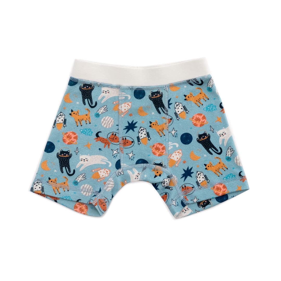 Organic Cotton Boys' Boxer Briefs Multi-pack | 5 colors